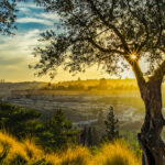 2021 03-16 Mount of Olives - Marc Turnage